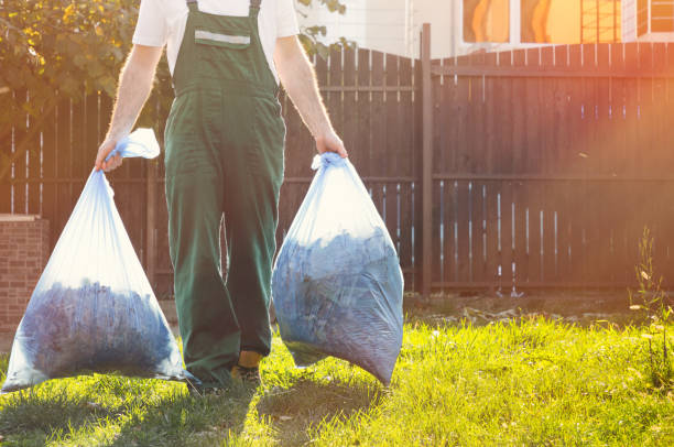 Debris Removal in Magna, UT